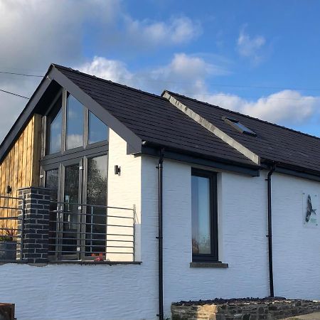 Red Kite Cottage كرمرثن المظهر الخارجي الصورة