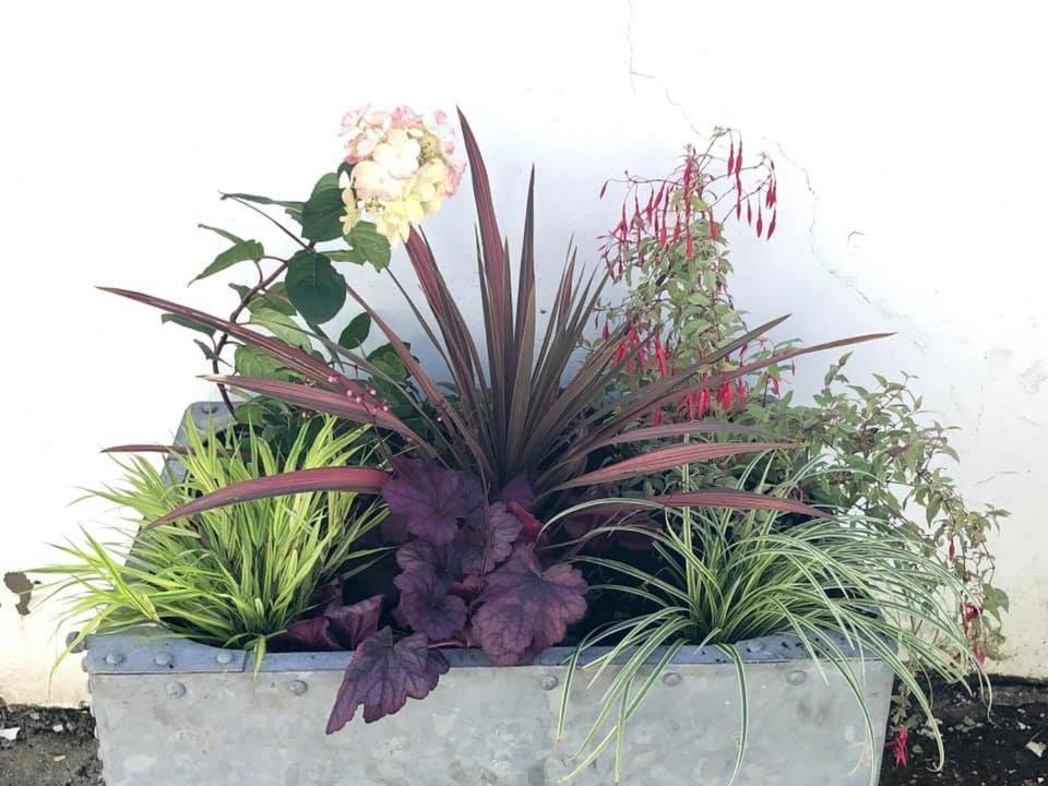 Red Kite Cottage كرمرثن المظهر الخارجي الصورة