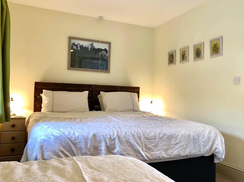 Red Kite Cottage كرمرثن المظهر الخارجي الصورة