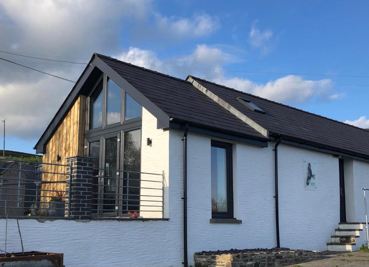 Red Kite Cottage كرمرثن المظهر الخارجي الصورة