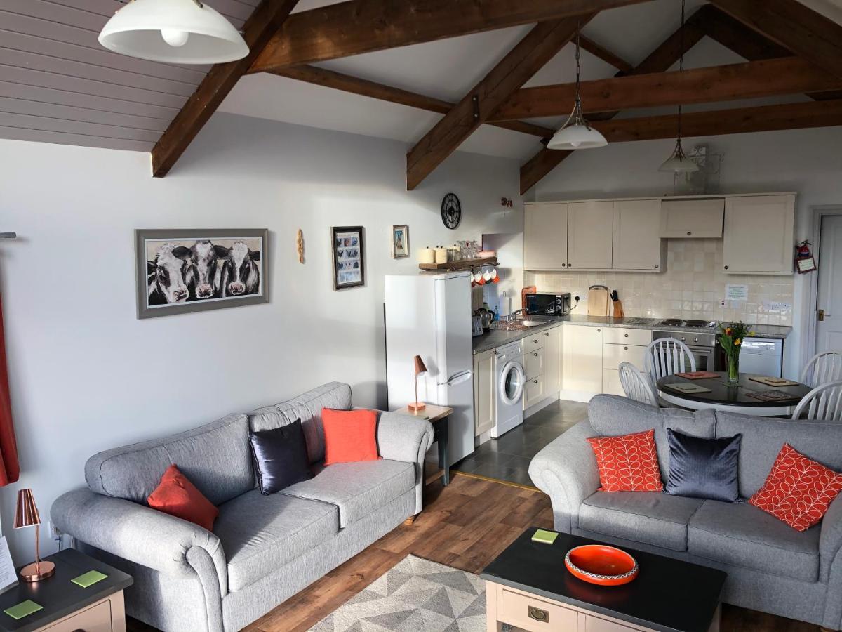 Red Kite Cottage كرمرثن المظهر الخارجي الصورة