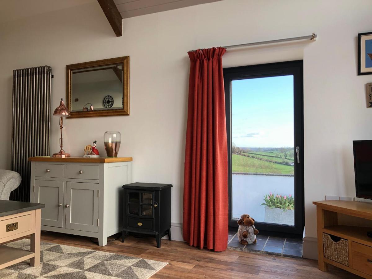 Red Kite Cottage كرمرثن المظهر الخارجي الصورة