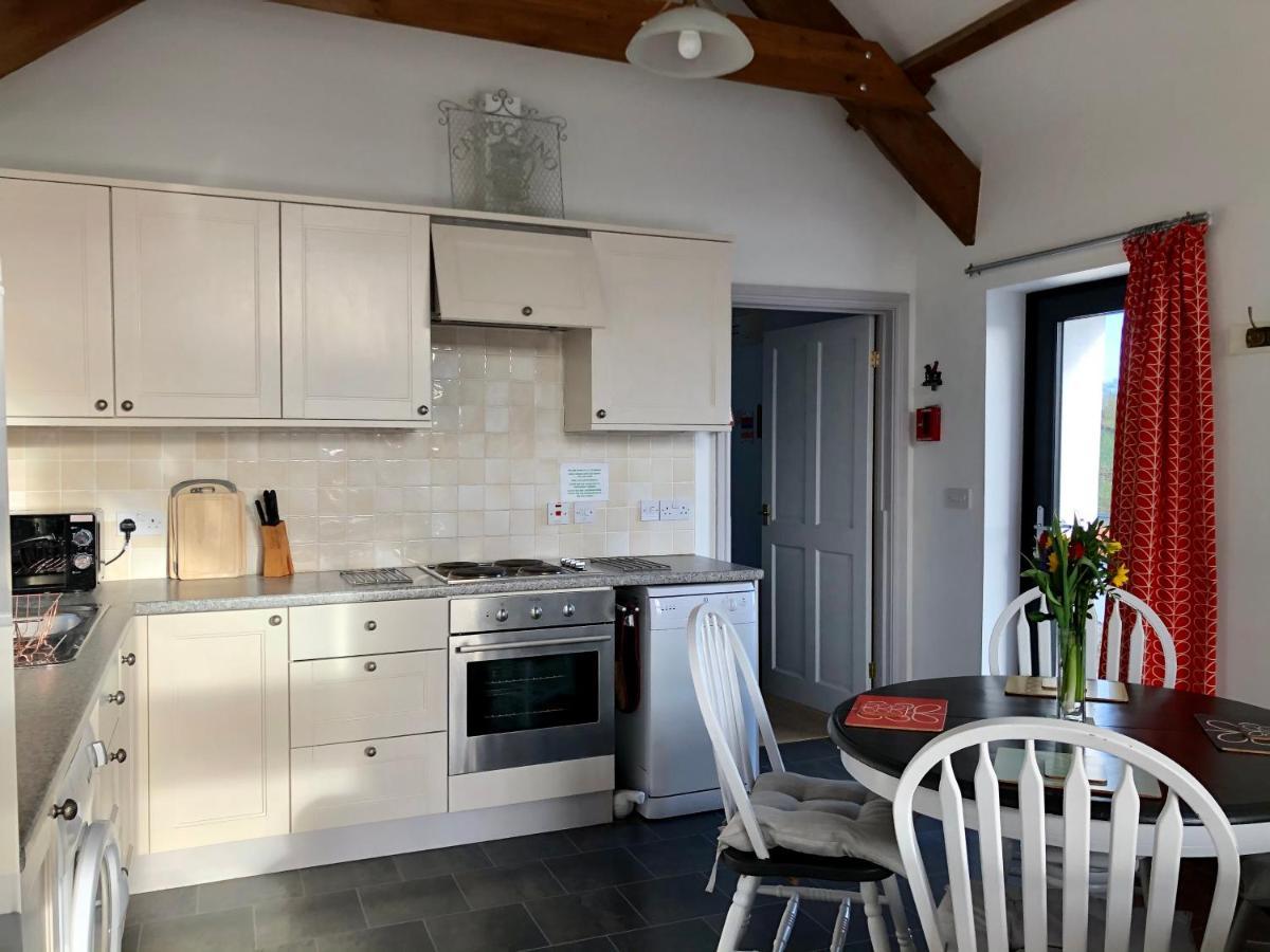 Red Kite Cottage كرمرثن المظهر الخارجي الصورة