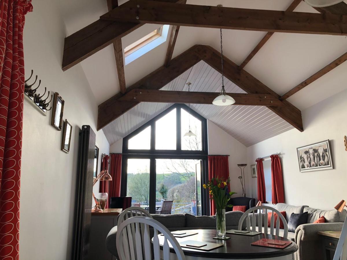 Red Kite Cottage كرمرثن المظهر الخارجي الصورة